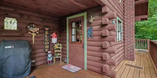 Image 4