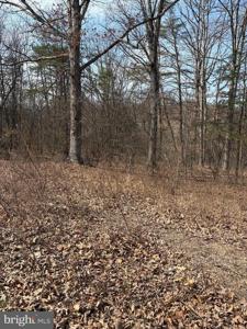 Lot 7 FOXES HOLLOW RD