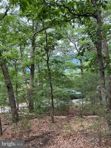 6 ac MOUNTAIN ACRES LOOP