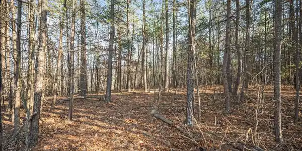 LOT 4 BACK CREEK RD