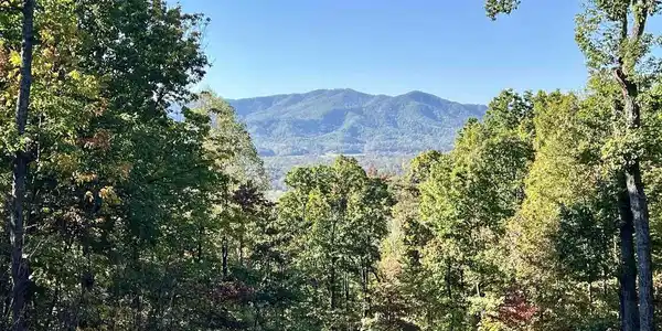 1137 CRAWFORDS CLIMB