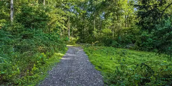 0 GOONEY MANOR LOOP