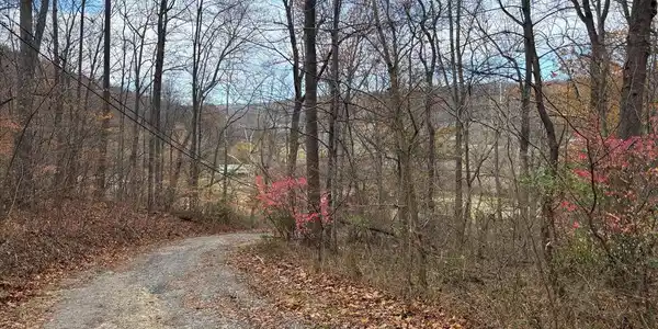 FIERY RUN ROAD