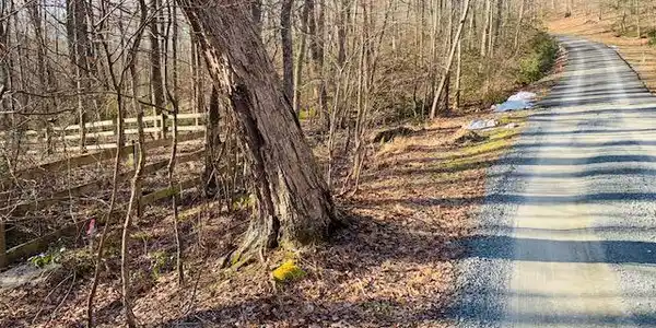 17043 WATERFALL ROAD