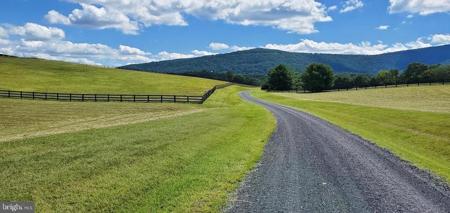 FOX HILL DRIVE