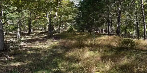 Lot 5 PRIVATE RANCH ROAD