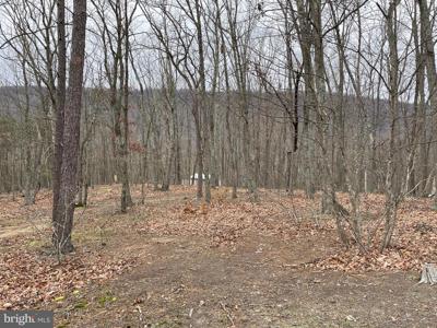 9.50 AC BIRD RIDGE ROAD