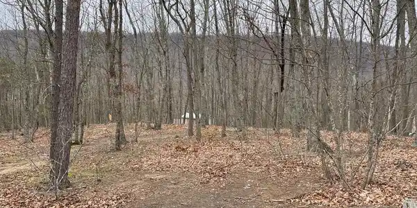 9.50 AC BIRD RIDGE ROAD