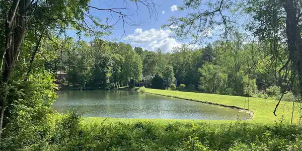 229 CAMPING RIDGE