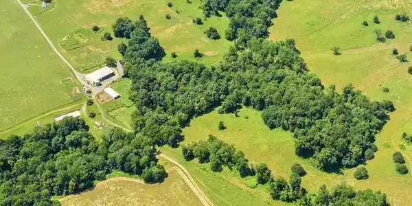 1169 ZACHARY TAYLOR RD