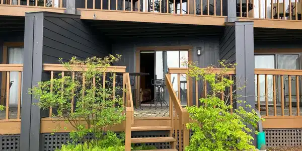 203 TIMBERS