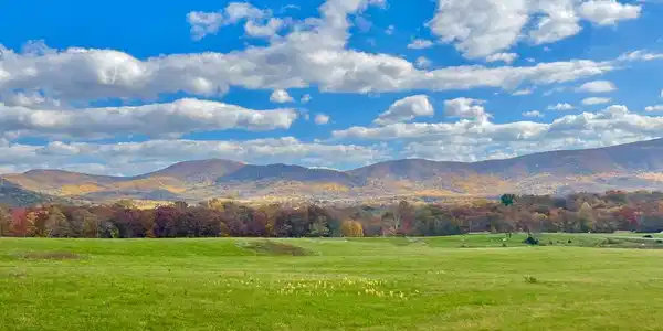 Lot 8 BUCK MOUNTAIN ROAD