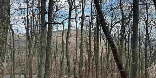 122 HANGING ROCK LN