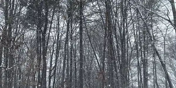 0 WILDERNESS ROAD