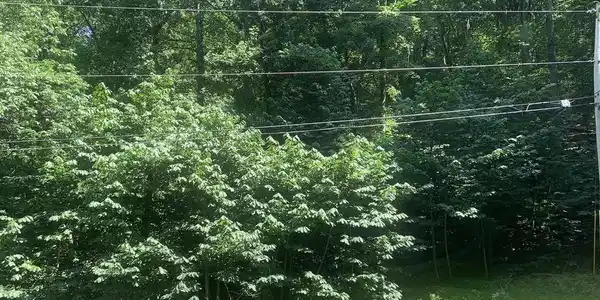 Lot 51 RED BUD LANE