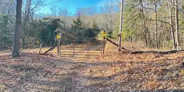 MATTHEWS MOUNTAIN LOOP