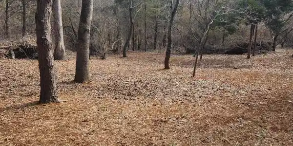 36 DEER LANE