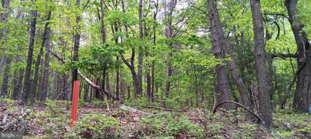 0 FLEMMING HILL RD.