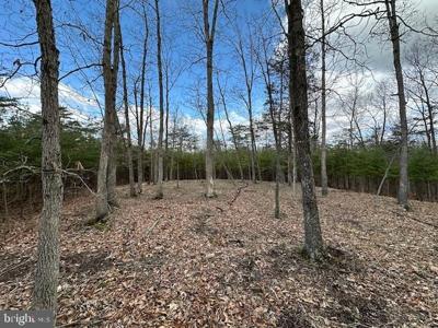 8.86 AC MIDDLE RIDGE ESTATES