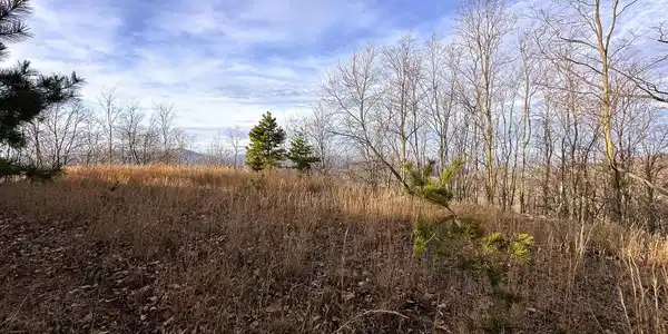 333 ASHTON WOODS