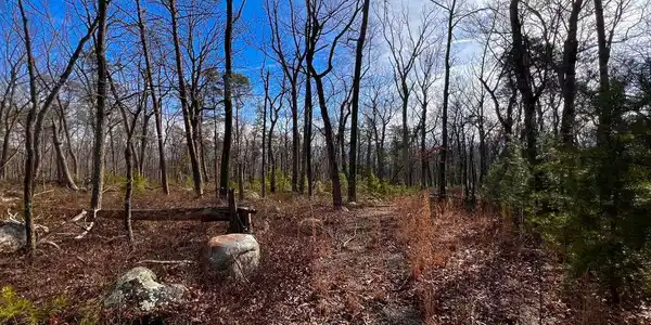 LOT SHORT PINE COURT