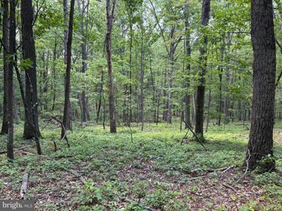 LOT 11 ROCK CREEK TRAIL