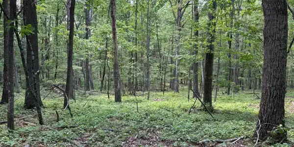 LOT 11 ROCK CREEK TRAIL