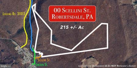 00 SCELLINI STREET