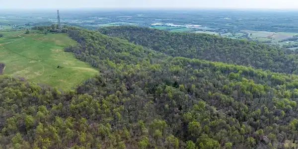 LOT 25