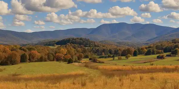Lot 63B BUCK MOUNTAIN RD