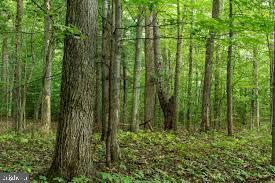 3964 HIDDEN VALLEY LANE