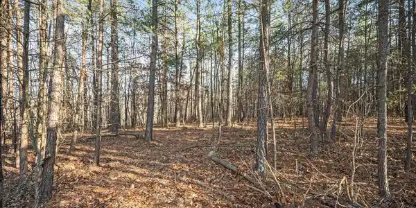 LOT 6 BACK CREEK RD
