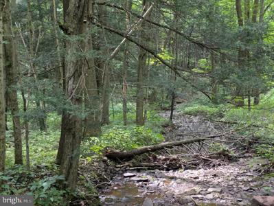 0 BERKEY HOLLOW ROAD