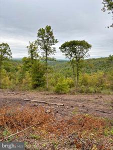 35 & 36 BEECH CREEK MOUNTAIN ROAD
