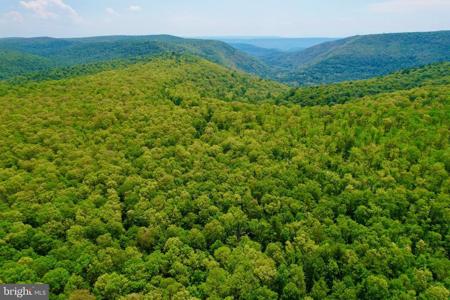 25 BEECH CREEK MOUNTAIN ROAD