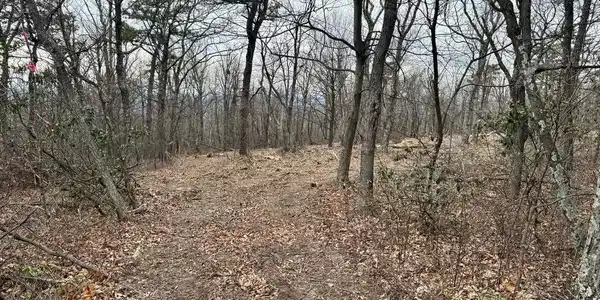 BOBCAT TRAIL