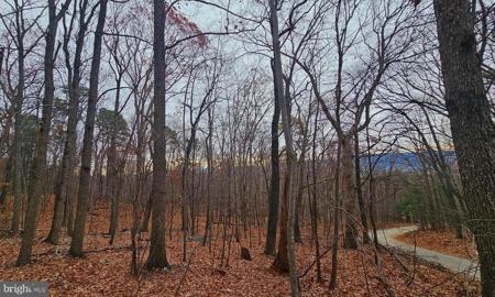 TBD FOREST DRIVE EXT