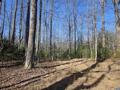 TBD Lot 56G TURKEY RIDGE RD