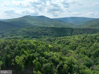 686.10 Acres THORN BOTTOM RD