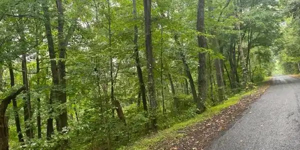 MULBERRY LANE