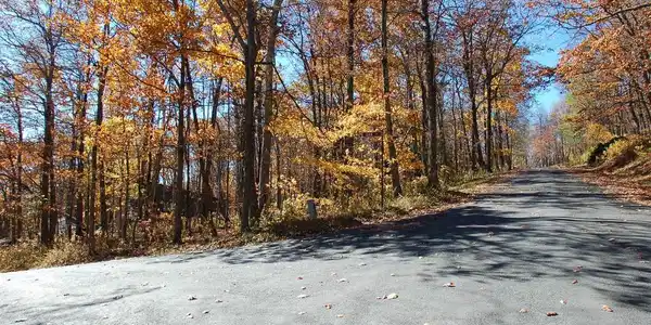 24 WHITE OAK LN