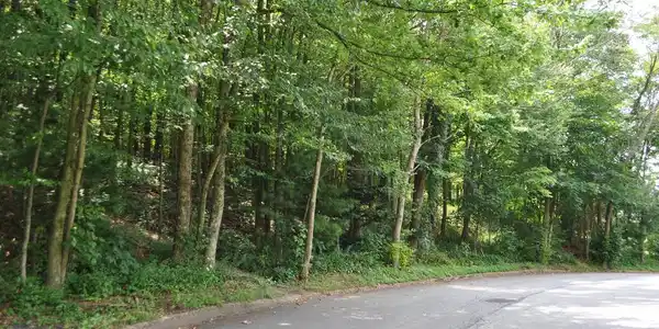 0 MAHANTONGO DRIVE