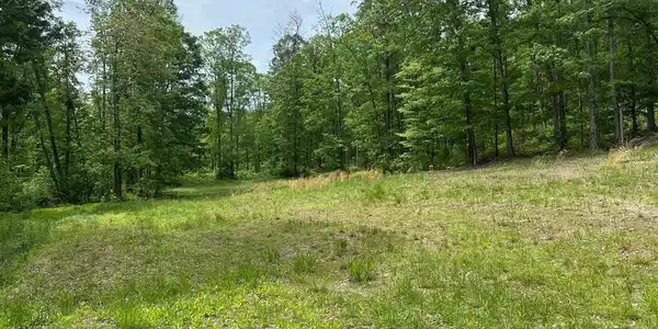 389.2 ACRES WOODMONT ROAD