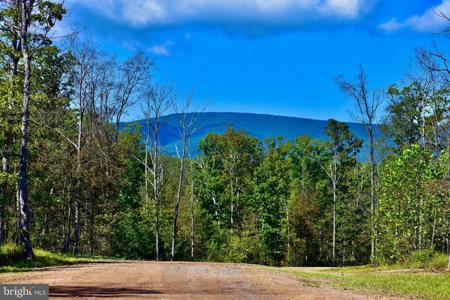 Lot 1 (128.556 Acres) LAUREL GROVE ROAD