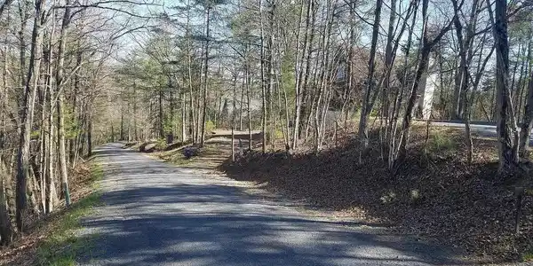 00 LEE ROAD