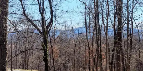 2005 UPPER STONY RUN