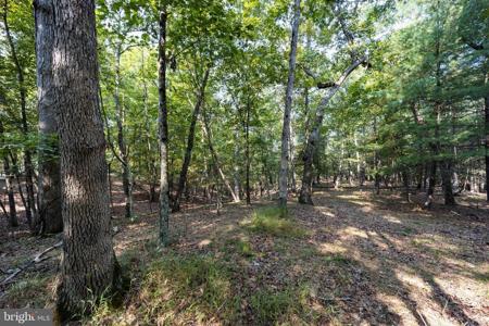 Lot 12 BROOMGRASS WAY