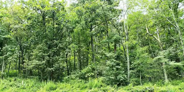 455 LAUREL SPRINGS DR