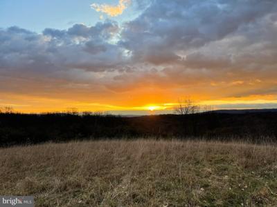 1131 BROAD HOLLOW ROAD