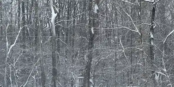 0 WILDERNESS ROAD